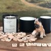 PALO-SANTO-Lucid-Dreamer-1.jpg PALO SANTO Lucid Dreamer