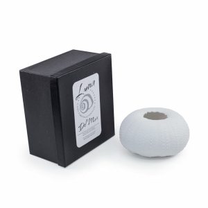 Rafiki Urchin Votive